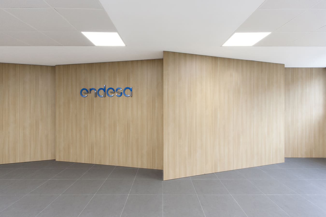 Alejandro Dean_Oficinas Endesa Zgz 11