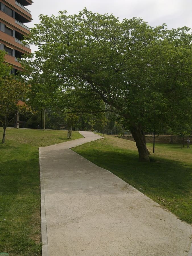Alejandro Dean_Parque Bruil_05