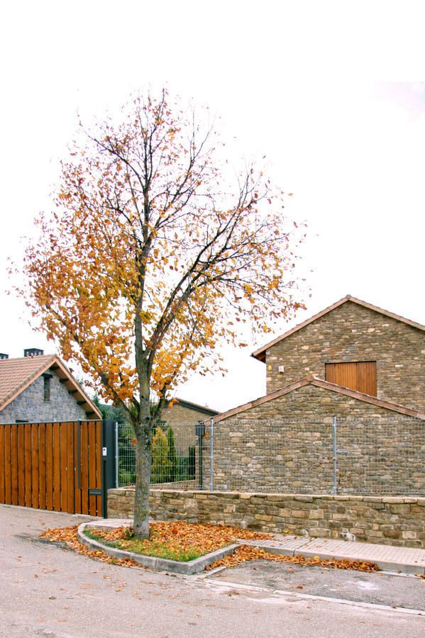 Alejandro Dean_Vivienda Baros_01