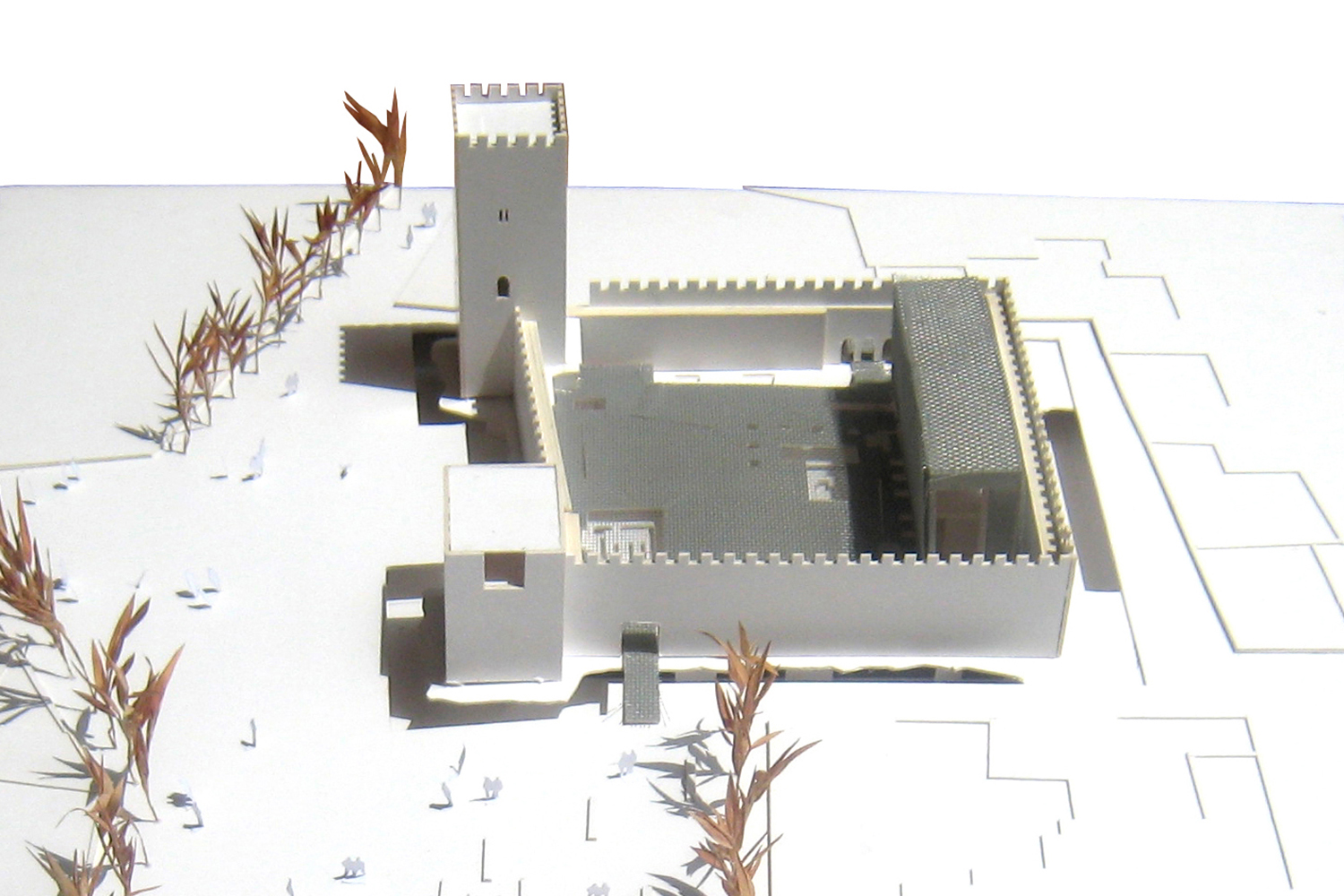 24_Alejandro Dean_Castillo Bolaños_1500x1000